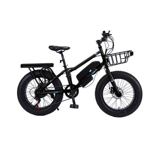 CRONY 22" The Fire Spirit Bird Electric Bicycle Outdoor Desert Riding Electric Bicycle | Black