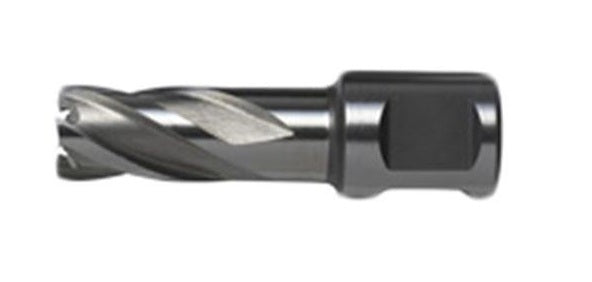Dewalt DT8412-QZ Pilot Pin, 2 mm Diameter