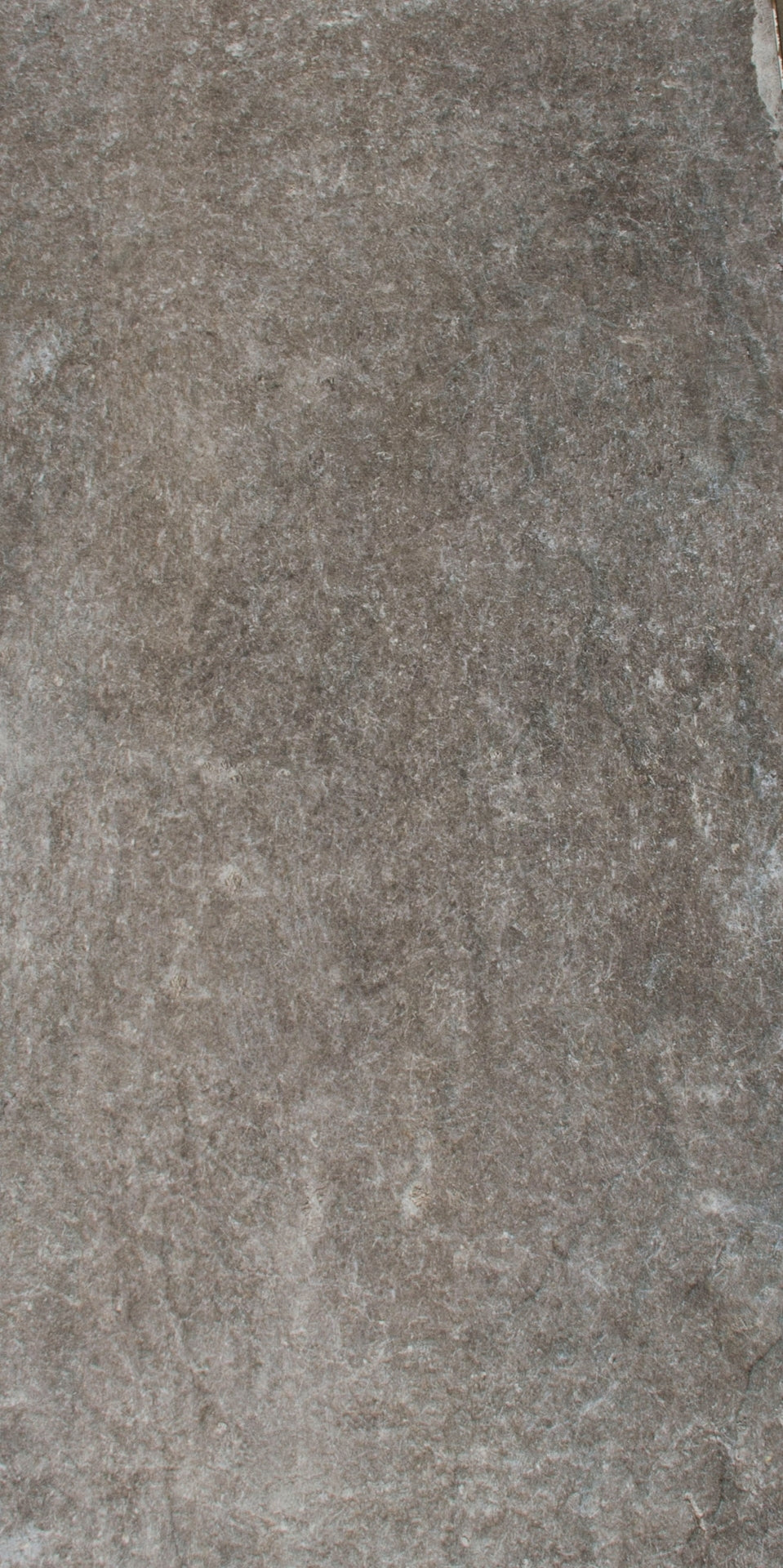 GRES Porcelain  Stony Look  Digital  Matt 50X100  ARES