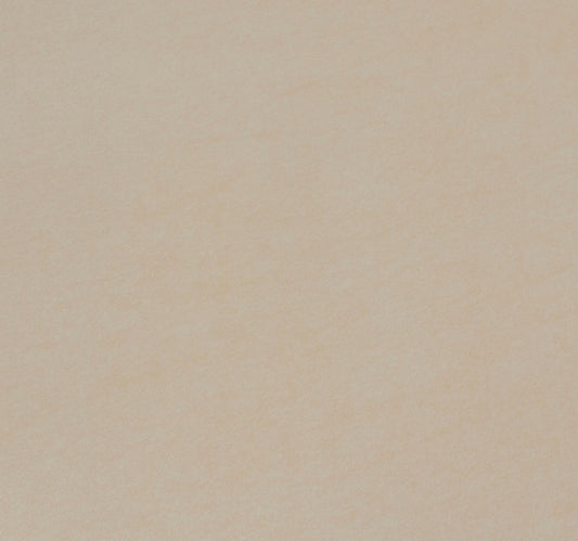 Gres Porc Full Body 60x60cm