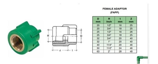 20 × 1/2 "محول أنثى PPR مترابط