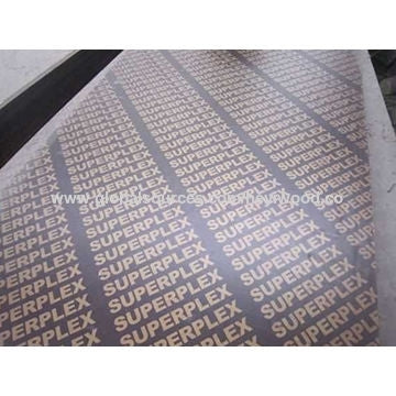 Jassar Plex 122cm*244cm*18mm - Combi Core 3Layer Hardwood Resulable: 8 إلى 12 مرة