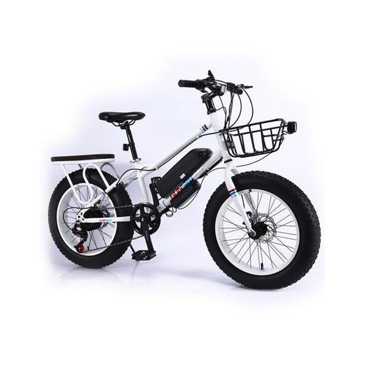 CRONY 22" The Fire Spirit Bird Electric Bicycle Outdoor Desert Riding Electric Bicycle | White