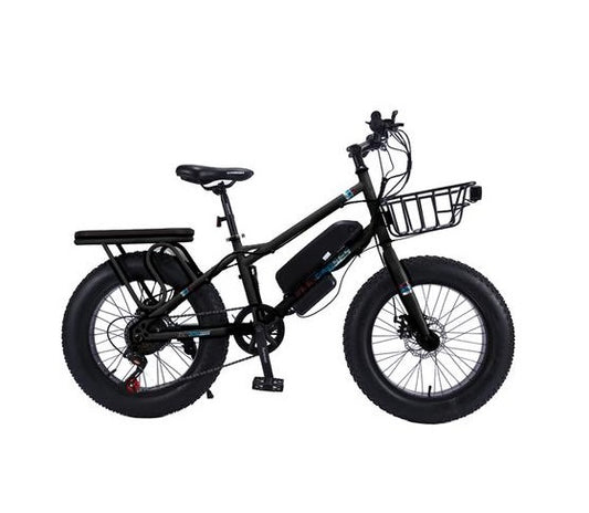 CRONY 22" The Fire Spirit Bird Electric Bicycle Outdoor Desert Riding Electric Bicycle | Black