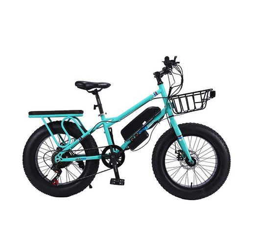 CRONY 22" The Fire Spirit Bird Electric Bicycle Outdoor Desert Riding Electric Bicycle | Green