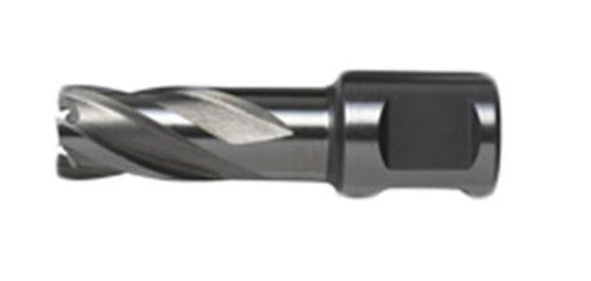 Dewalt DT8412-QZ Pilot Pin, 2 mm Diameter
